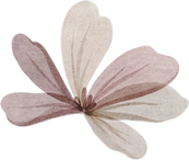 Watercolor Botanical floral